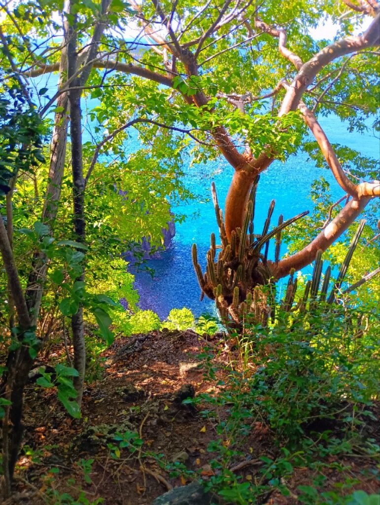 photo_2023-12-14_07-56-55